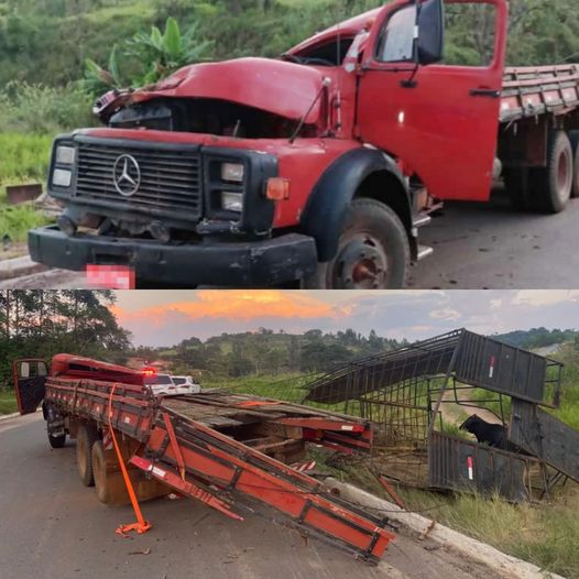 Caminhão com placas de Mogi Guaçu e carregado com gado furtado, tomba durante fuga em Minas Gerais; dois animais morreram