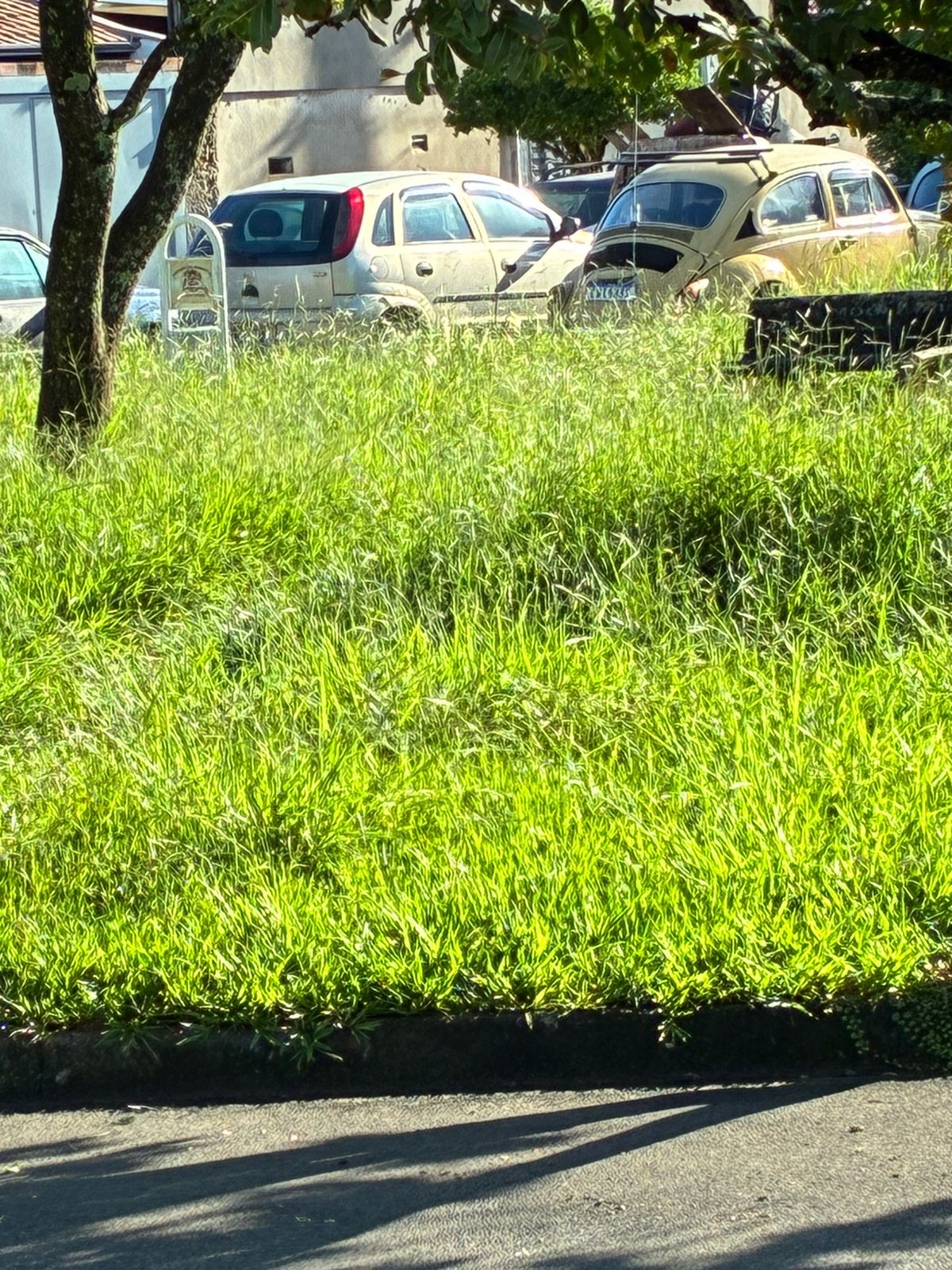 ​Moradores de Martim Francisco cobram presença e compromisso dos representantes políticos